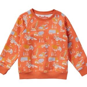 PICCOLINA
Relaxed Crewneck Pull-Over Oversized Sweatshirt, Construction